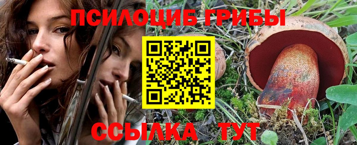 Майкоп  Псилоцибиновые грибы Psilocybe  что такое наркотик  Вход с VPN 