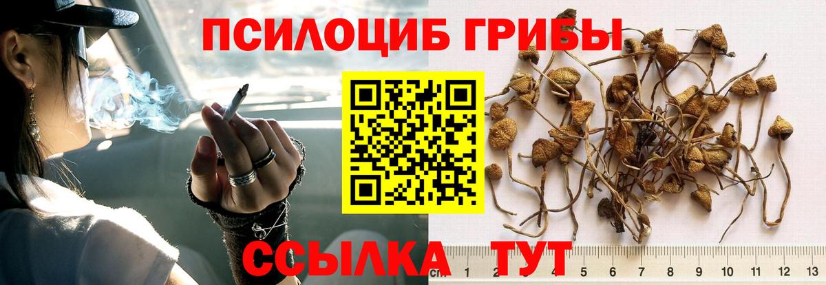 Галлюциногенные грибы Magic Shrooms Майкоп